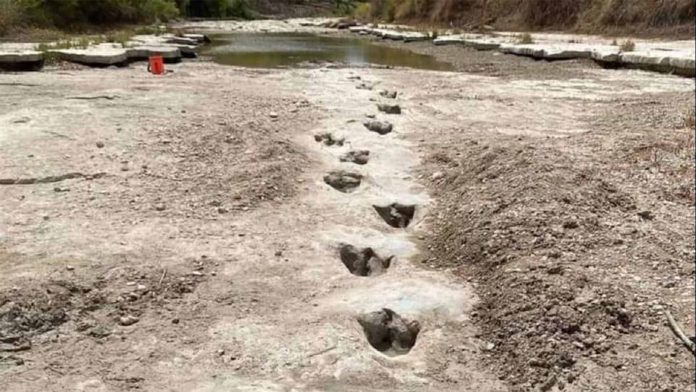 Sequía deja al descubierto huellas de dinosaurios de hace 113 millones de años