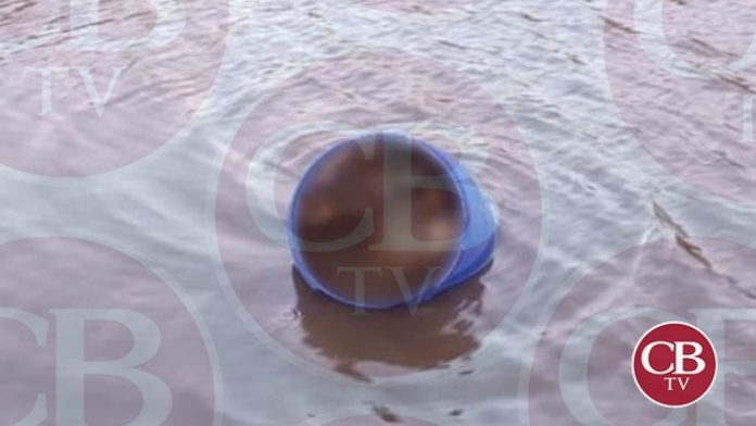 Lo descuartizan, meten a un tambo y lo tiran a las aguas negras