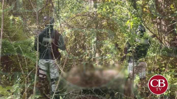 Decomisan más de 80 paquetes de drogas en Pátzcuaro