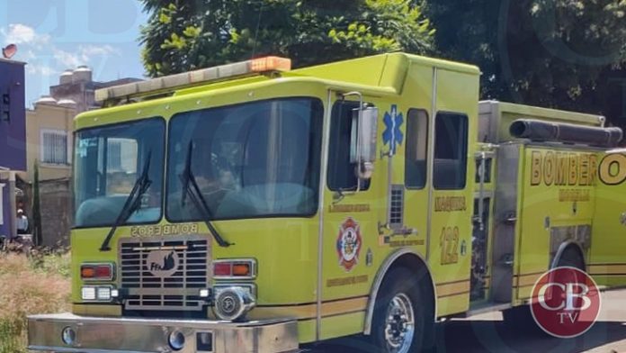 Se atienden 80 reportes de serpientes en hogares morelianos al mes