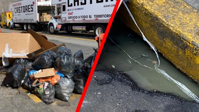 Por basura, el corazón de Morelia se volvió un nido de ratas
