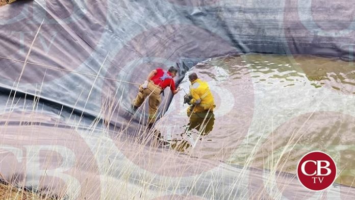 Rescatan a perrito de una olla de agua agrícola en Tacámbaro