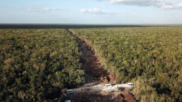 Tramo 5 del Tren Maya: Revocan otros 2 amparos contra construcción