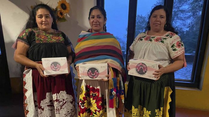 Entregan 141 paquetes menstruales en nueve municipios de Michoacán