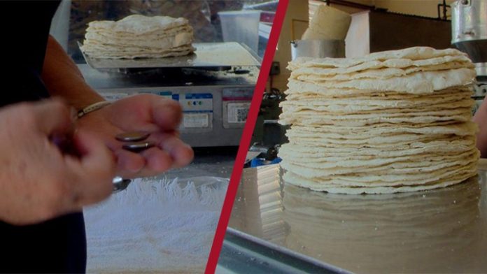 El hambre no se aguanta; morelianos resignados a altos precios en tortillas