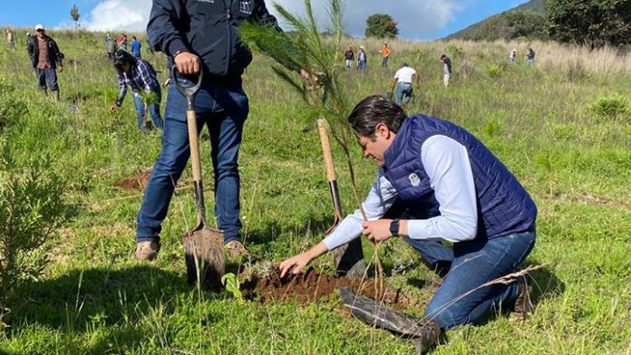 Para proveer de agua; reforestan el cerro del Águila, el más importante de Morelia