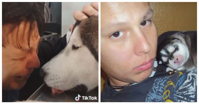 VIDEO: Joven comparte el último adiós con su mejor amigo, un husky