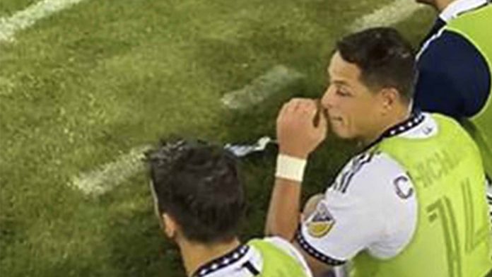 Aficionado le pide al chicharito ayudar a México en el Mundial
