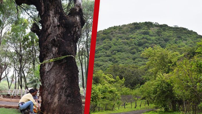 En Michocán, buscan declarar 80 predios como reservas protegidas