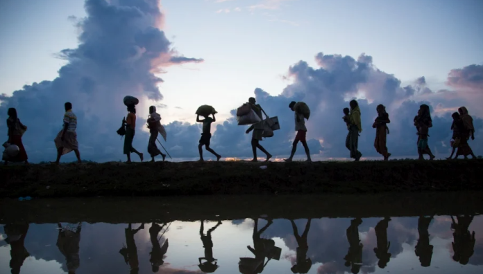 Colapsan morgues por el aumento de muertes en migrantes en EE.UU.