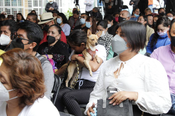 Reciben reconocimiento 27 perritos como rescatistas
