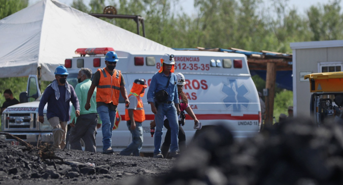 FGR: Vinculan a proceso a detenido por explotación ilegal de 'El Pinabete'