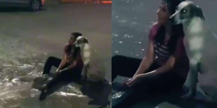 VIDEO: Perrito acompaña a su dueña bajo la lluvia y conmueve en redes