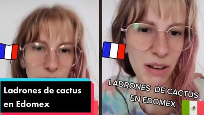 Francesa se queja de la inseguridad en México: “Me robaron mi cactus”