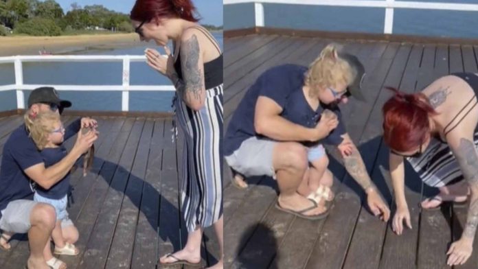 Pide matrimonio en un muelle y se le cae el anillo de compromiso al mar