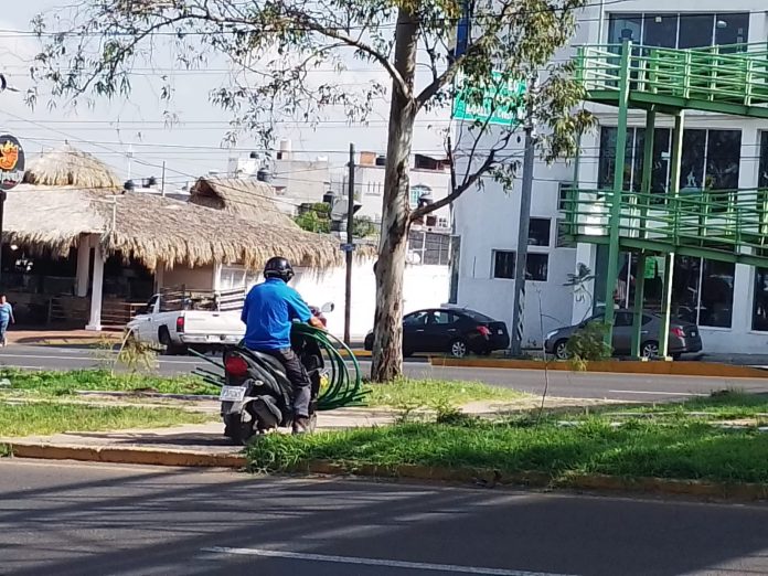 ¡Ni los camellones los detienen! Autoridades aseguran falta de cultura vial de los motociclistas