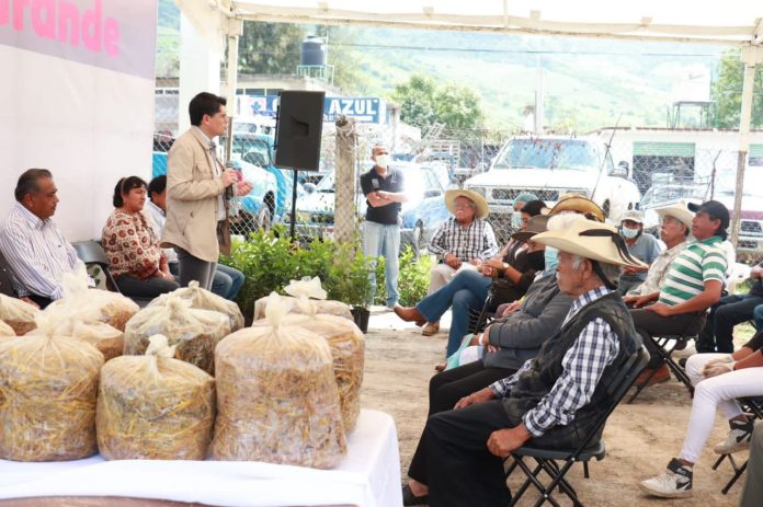 Alcanza Gobierno de Zitácuaro a 500 familias beneficiadas, con el programa Producción de Hongo Seta