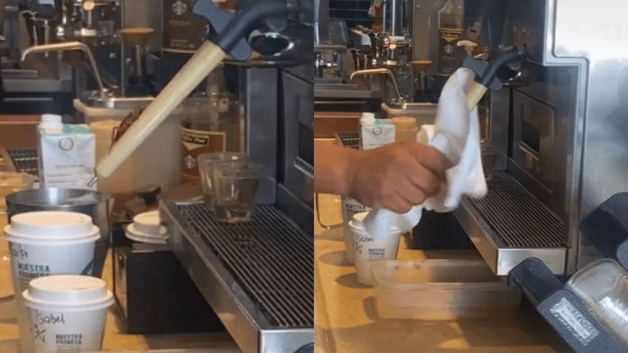cucaracha starbucks