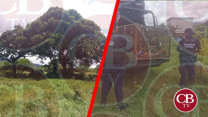 Rescatan a un “Puma” abandonado en un narcocampamento