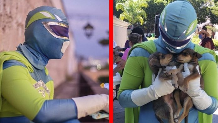 Zadrigman: el superhéroe mexicano que rescata perritos de la calle⁠