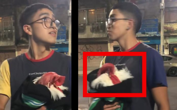 VIDEO: Tras sismo joven sale con su gallo envuelto en una cobija