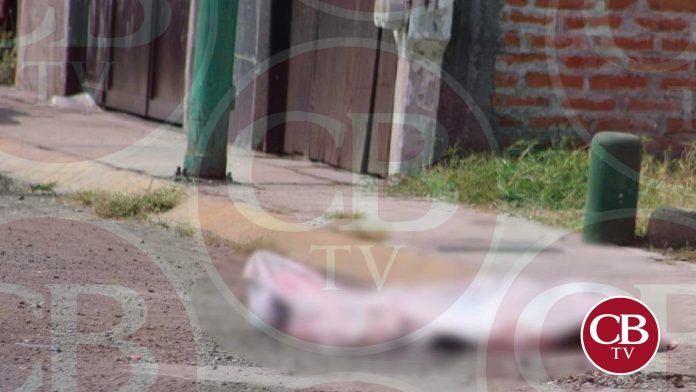 Cae de la azotea por separar a sus perritos que peleaban