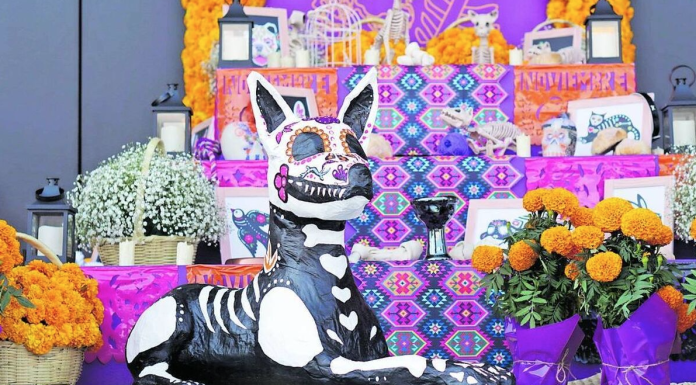 Cuándo poner la ofrenda para tus mascotas difuntos