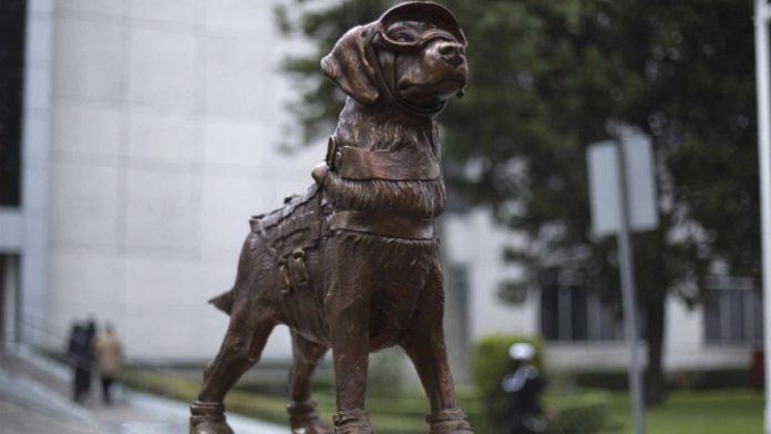 Develan estatua en honor a Frida