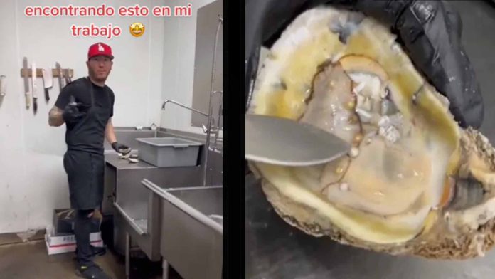 Empleado de una marisquería encuentra perlas mientras limpiaba ostras