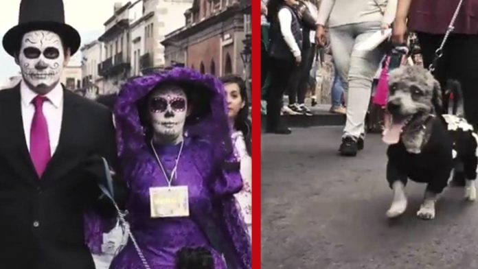 ¡Para recordar a tu lomito! En Morelia catrines y ofrendas para honrar a tu 