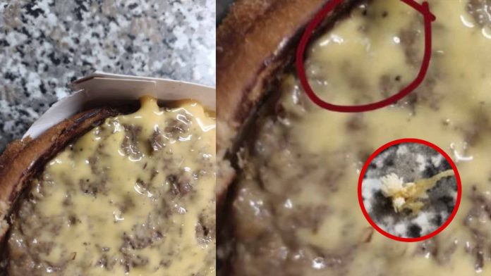 ¿Mc mosca? Joven encuentra huevos de mosca en su hamburguesa de McDonald's