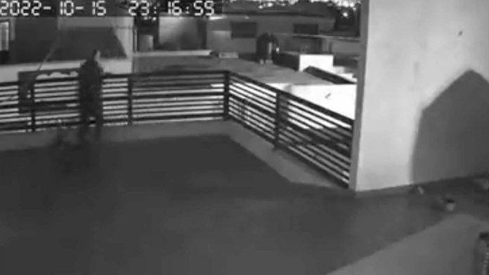 Ladrón se lanza de la azotea al ser atacado por los perros de una casa