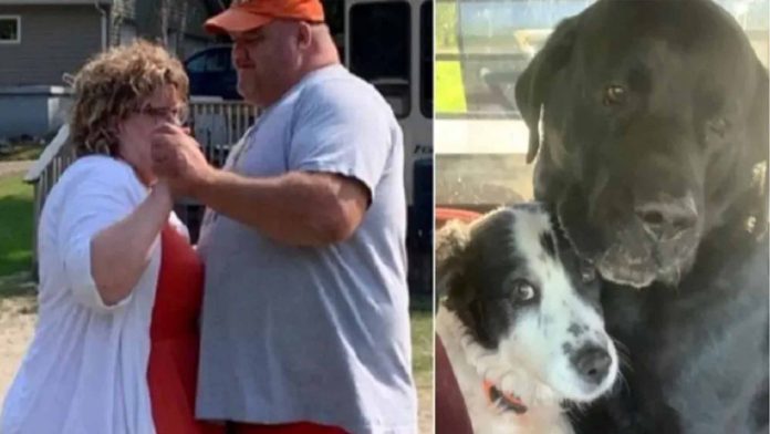 Pareja con cáncer terminal se quita la vida junto a sus perritos