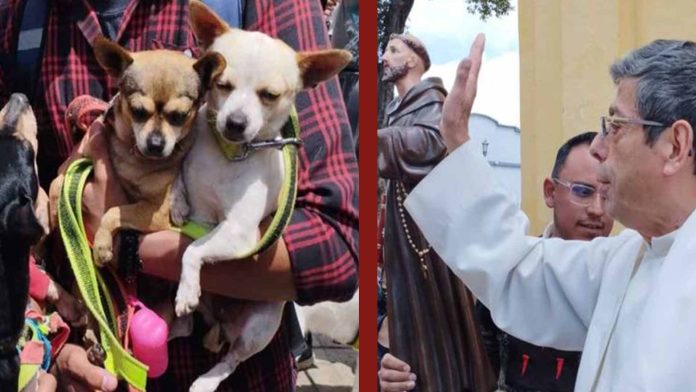 Sacerdote bendice más de 300 mascotas en Chiapas