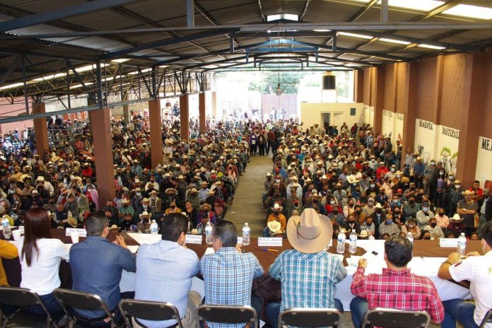 Gobierno Municipal entrega becerros y 3 sementales a la zona rural