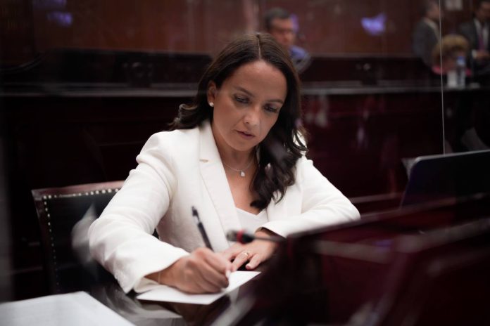 Urge garantizar la prevención y el tratamiento de los trastornos de salud mental: Andrea Villanueva