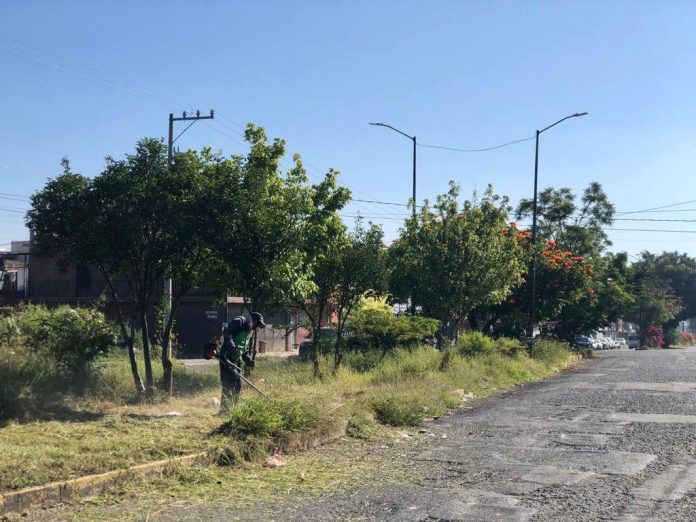 Hasta mil metros bacheados en Avenida Poliducto y Quinceo