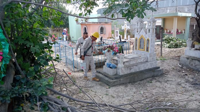 Hasta 890 hectáreas fumigadas en panteones previo a Noche de Muertos