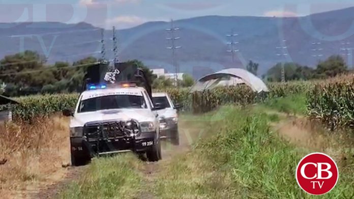 Campesinos de Zamora hallan ejecutado en sus tierras