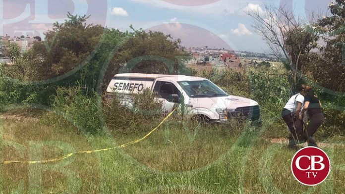 Hallan seis cuerpos enterrados en Huaniqueo