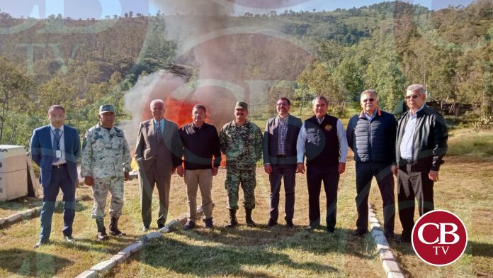 Destruyen drogas aseguradas en Michoacán