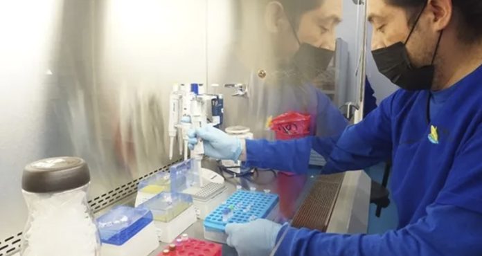 México: Confirman el primer caso de influenza aviar AH5N1