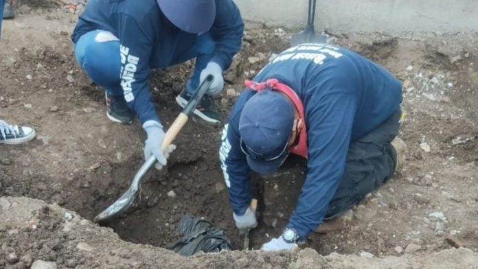Encuentran 41 bolsas con restos humanos en Irapuato