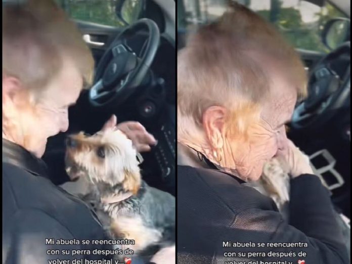 VIDEO: Abuelita se reencuentra con su perrita tras varios días hospitalizada
