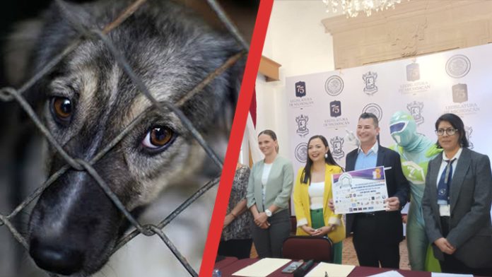 Crueldad animal será castigada con 4 años de prisión