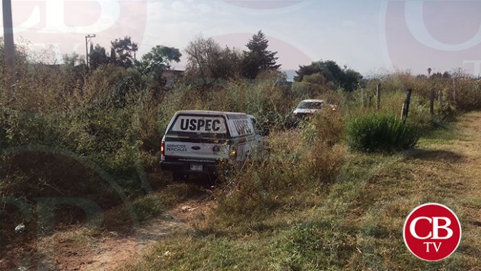 Hallan fémina ejecutada en San Juanito Itzícuaro