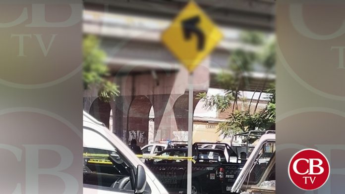 Hombre se quita la vida en un árbol del libramiento de Morelia