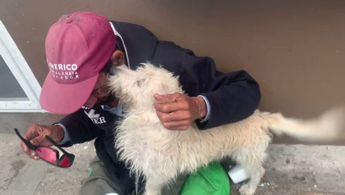 VIDEO: Hombre invidente se reencuentra con su perrito después de que se lo robaran
