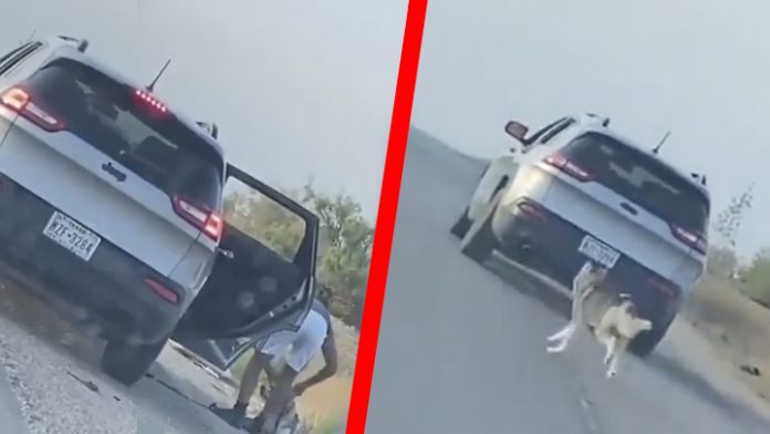 Video: Hombre abandona a lomita en Texas