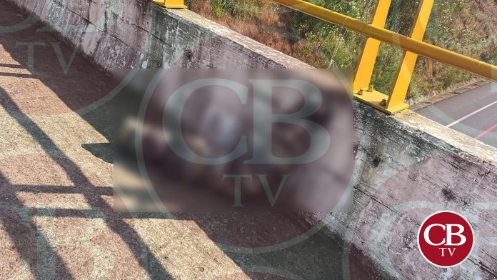 ¡Dulce o truco! Reportaron cuerpo embolsado en la Siglo XXI; eran varas en bolsas negras